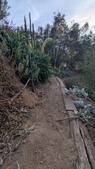 Enlarge photo 46