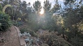 Enlarge photo 47