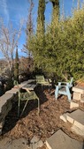 Enlarge photo 48