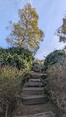 Enlarge photo 50