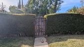 Enlarge photo 1