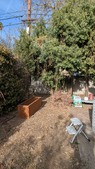 Enlarge photo 16