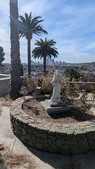 Enlarge photo 58