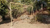 Enlarge photo 62