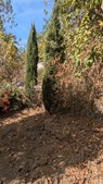 Enlarge photo 63