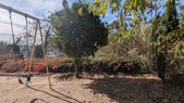 Enlarge photo 66