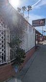 Enlarge photo 43