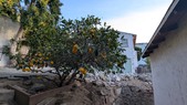 Enlarge photo 33