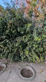 Enlarge photo 37