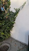 Enlarge photo 38