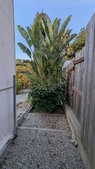 Enlarge photo 51