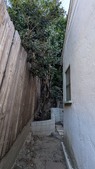 Enlarge photo 53