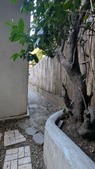 Enlarge photo 57