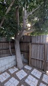 Enlarge photo 59