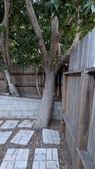 Enlarge photo 60