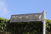 Enlarge photo 41