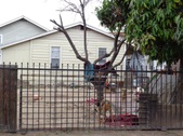 Enlarge photo 13