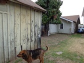 Enlarge photo 15