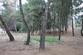Enlarge photo 1