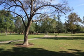 Ernest Debs Park