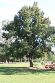 Enlarge photo 33