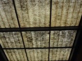 Enlarge photo 42
