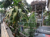 1062 st andrews (back apartments)