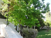 Enlarge photo 3