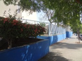 Schools