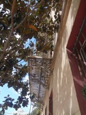 Enlarge photo 39