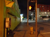 Enlarge photo 12