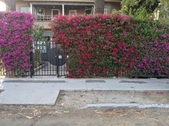 Enlarge photo 36