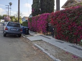 Enlarge photo 38