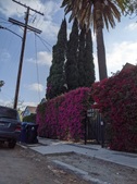 Enlarge photo 40
