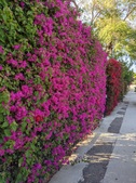 Enlarge photo 41