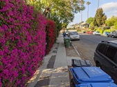 Enlarge photo 42
