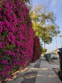 Enlarge photo 43