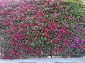 Enlarge photo 44