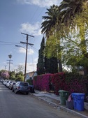 Enlarge photo 47