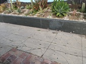 Enlarge photo 56