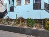 Enlarge photo 57