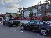 Enlarge photo 86