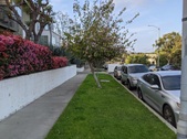 Enlarge photo 92