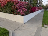 Enlarge photo 101