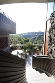 Enlarge photo 54