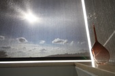 Enlarge photo 34