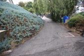 Enlarge photo 36