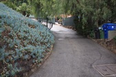 Enlarge photo 37