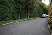 Enlarge photo 38