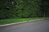 Enlarge photo 39
